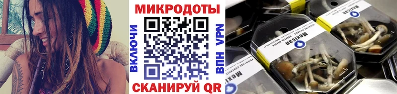 hydra как войти  Карабулак  Псилоцибиновые грибы MAGIC MUSHROOMS 